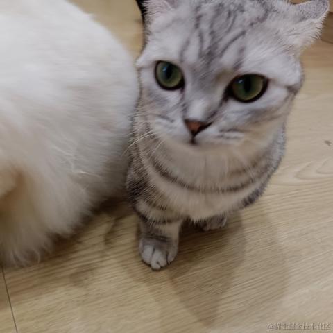 心想事成717于2023-06-25 14:24发布的图片