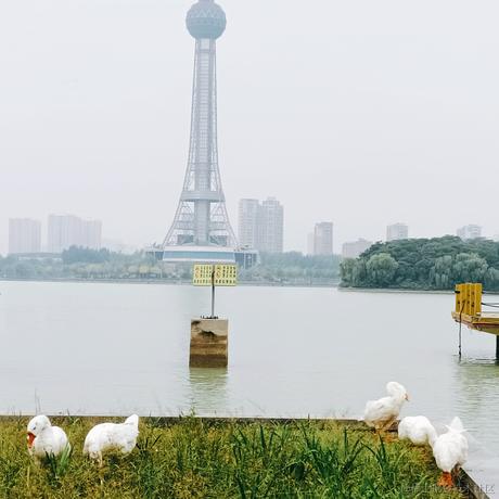 走入第五个季节于2023-04-22 17:05发布的图片