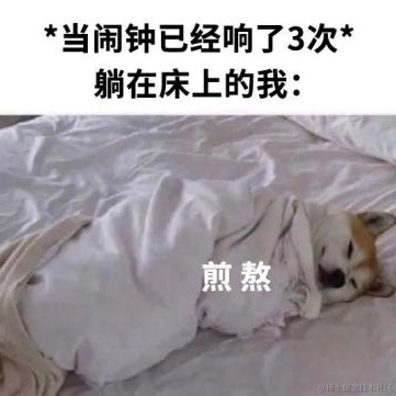 瓜瓜瓜鸟于2022-11-11 09:10发布的图片
