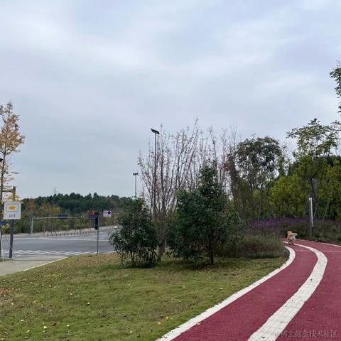 浓情chocolate于2022-11-13 15:23发布的图片