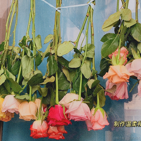 已注销于2021-10-18 15:37发布的图片