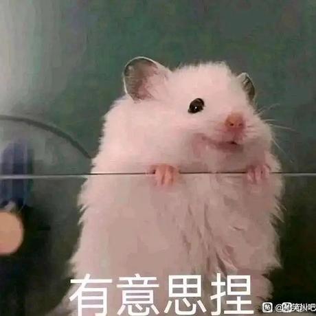 电子木鱼于2022-11-21 22:31发布的图片