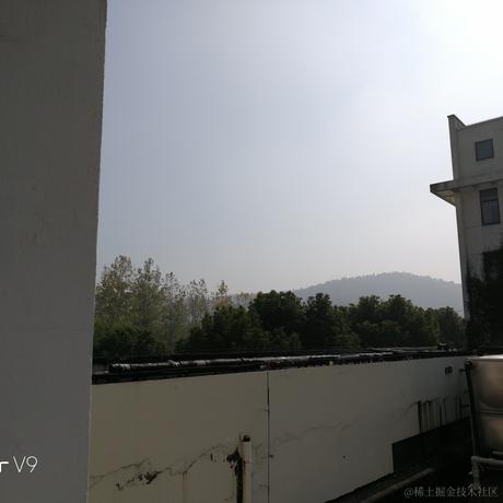 贝拉今天吃什么于2022-11-10 11:22发布的图片