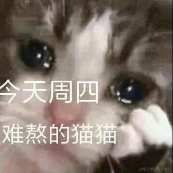 尼古拉斯阿柴于2023-05-31 09:25发布的图片