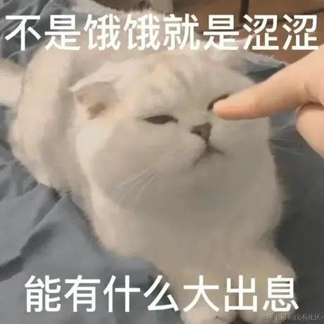 大嘟嘟于2022-10-18 12:28发布的图片