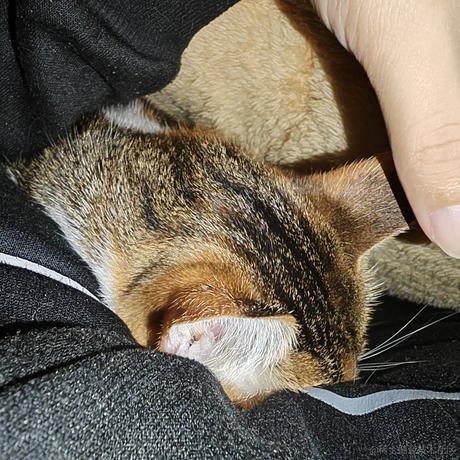 程序出问题与我何干于2022-12-10 17:56发布的图片