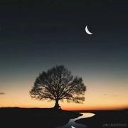 大病初废的个人资料头像