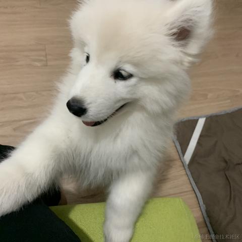 苏煜于2023-08-02 15:07发布的图片