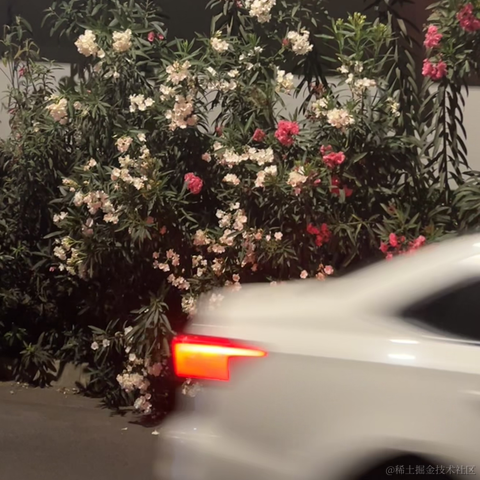 安酱于2024-05-29 12:40发布的图片