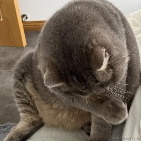 寒霜于2023-05-24 16:14发布的图片