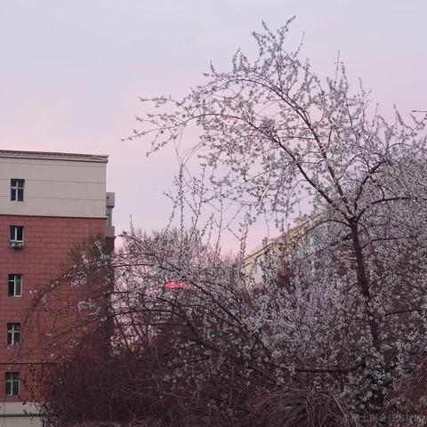 stml_life于2023-04-14 01:51发布的图片