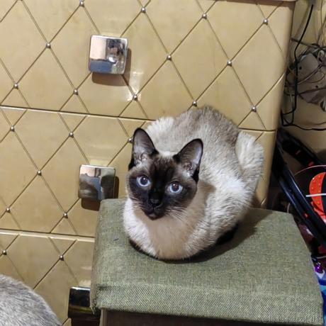 BK0717_王大明于2022-11-24 11:48发布的图片