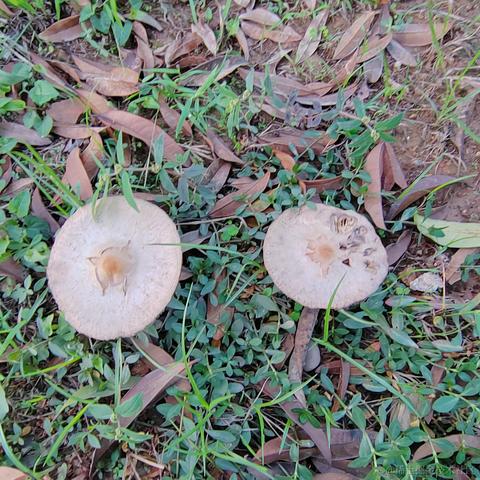 Uwiling于2022-11-28 19:58发布的图片