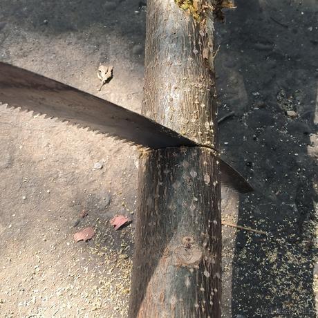 掉头发的王富贵于2023-01-25 15:00发布的图片