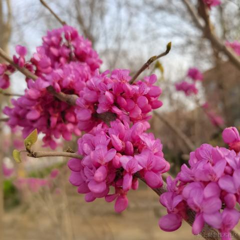 SUMU于2023-04-02 23:38发布的图片