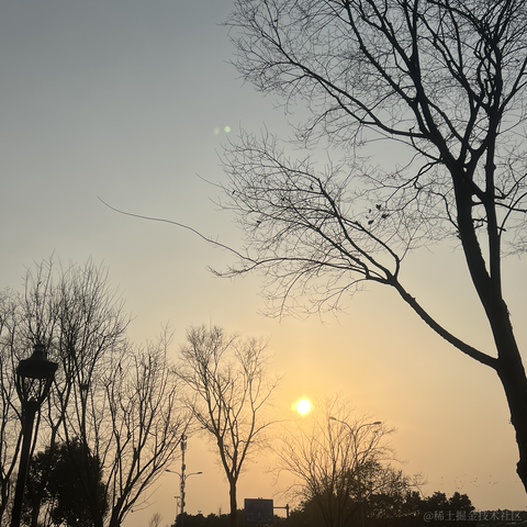 安酱于2023-05-05 12:06发布的图片