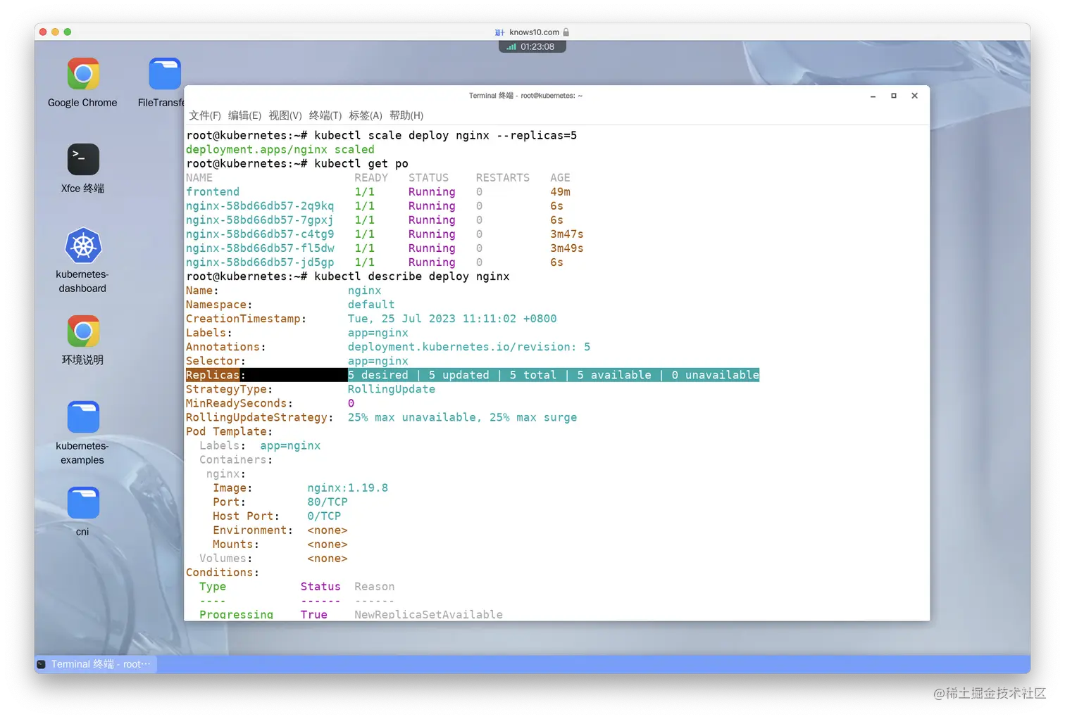 Scale the deployment to 5 replicas.