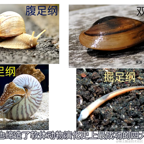 用户9983976123570于2023-06-25 11:44发布的图片