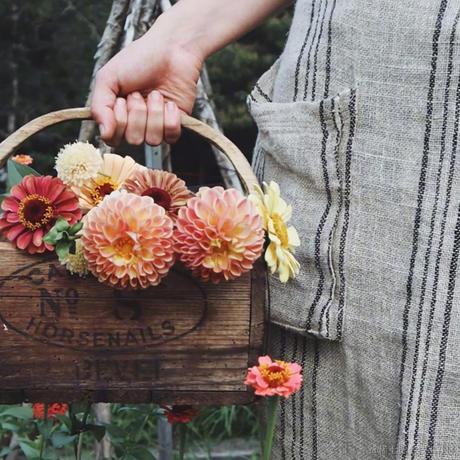 小柒格格巫于2022-11-24 10:57发布的图片