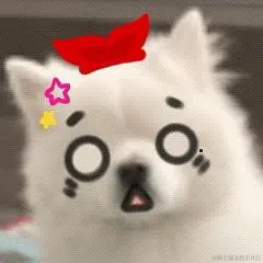 奇迹是九色的于2022-11-11 12:13发布的图片