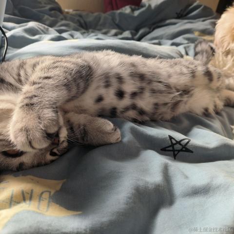 宣春不饿于2022-11-27 16:59发布的图片