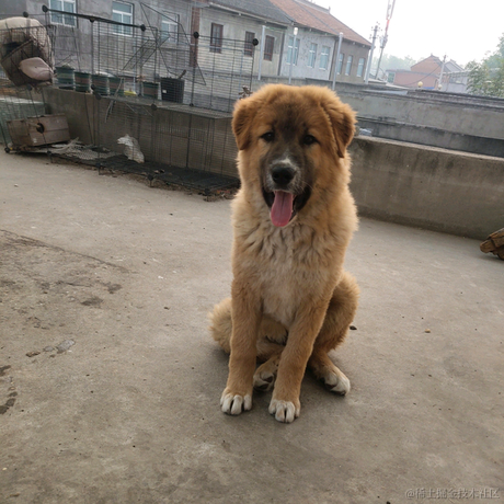 你贤惠我还贤惠呢于2023-07-20 10:11发布的图片