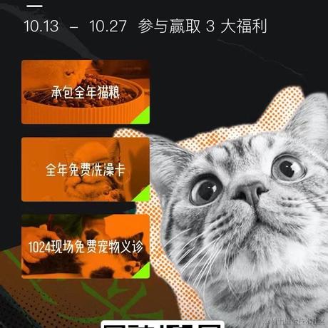 网易云信于2020-10-15 15:10发布的图片