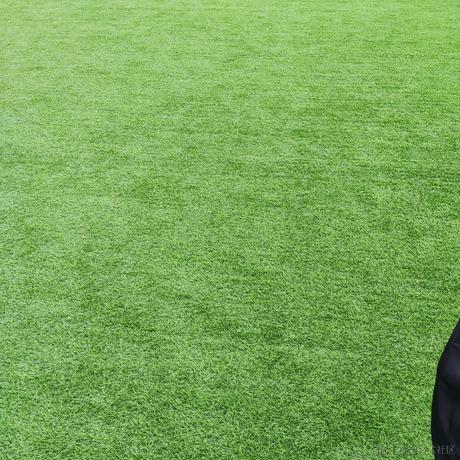 嘉然今天没吃的于2022-11-21 10:29发布的图片