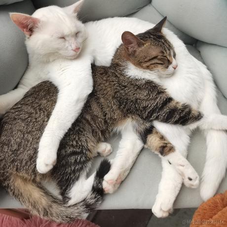 LINer于2023-03-31 20:42发布的图片