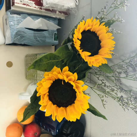 咖啡店看见的那只狗于2020-12-01 12:38发布的图片