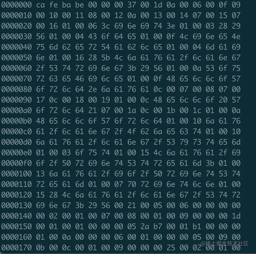 16进制字节码.jpg