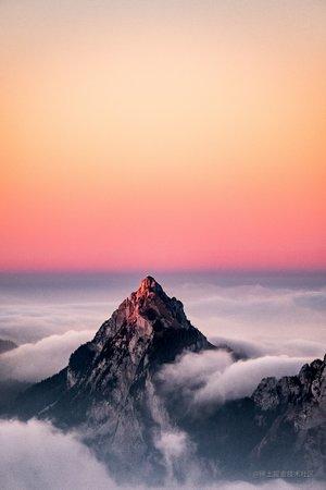 vue