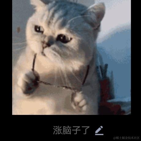 本喵是FW于2023-04-27 01:23发布的图片