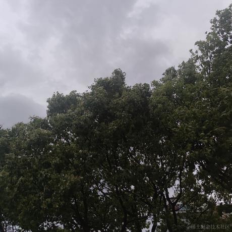 草莓捏于2022-11-19 09:49发布的图片