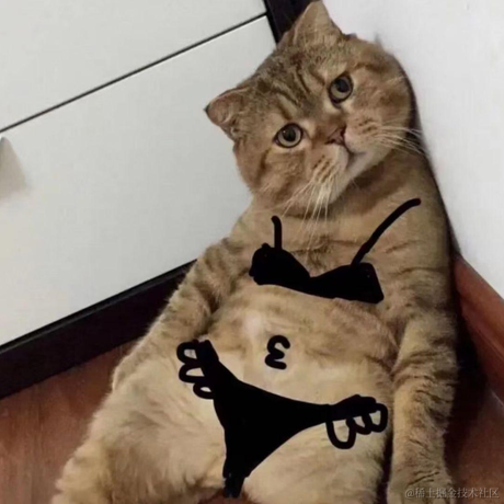 梦想是回家养猪于2023-08-15 14:58发布的图片