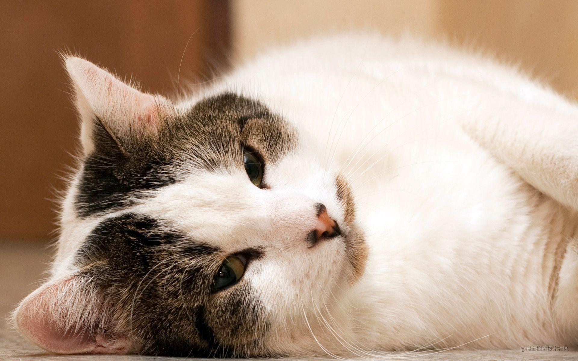 自己的学习记录