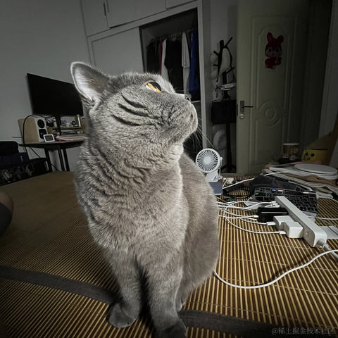 bellaQAQ于2023-06-29 09:58发布的图片