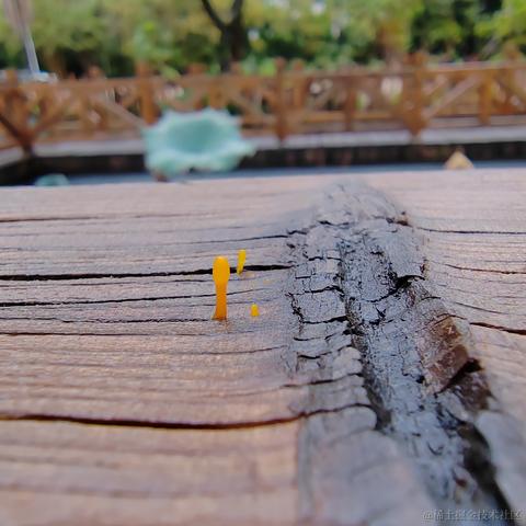 Uwiling于2022-12-02 22:23发布的图片