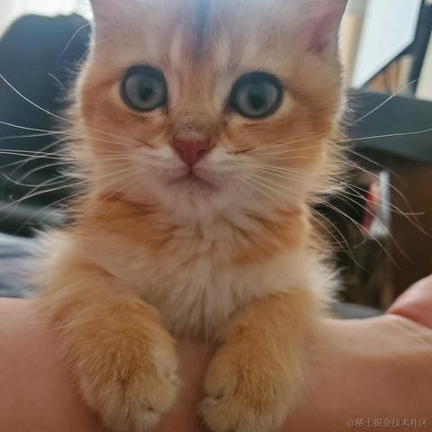 将军山最速下山传说于2020-12-15 08:28发布的图片