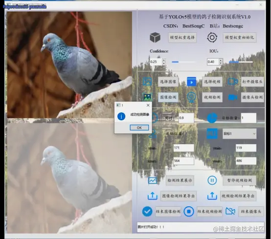 高精度鸽子检测识别系统2163.png