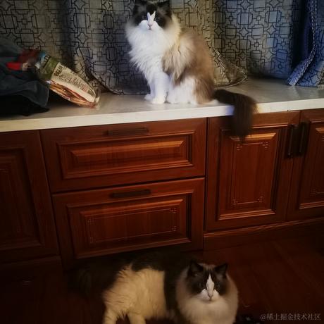 Firmament于2022-12-05 11:12发布的图片