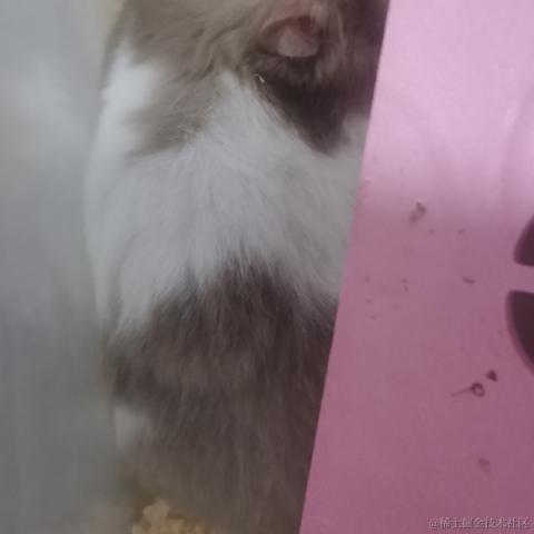 郑丫头于2022-06-24 10:59发布的图片