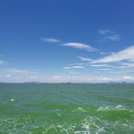 小公司也有大深V于2021-05-11 11:26发布的图片