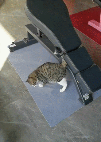 Daniel_01于2022-07-11 10:08发布的图片