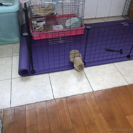 castle7于2023-11-27 14:11发布的图片