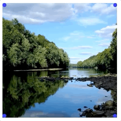 Apr-13-2021 11-12-21.gif