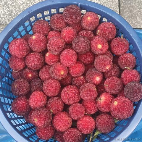 坚果派_坚果于2022-06-11 20:11发布的图片