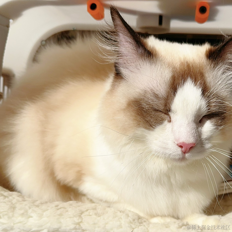 凌晨三点的猫于2023-10-07 10:23发布的图片