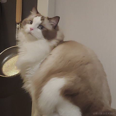 端盘花生米于2022-10-20 17:08发布的图片