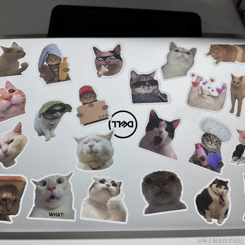 面包泡牛奶于2023-06-16 09:15发布的图片